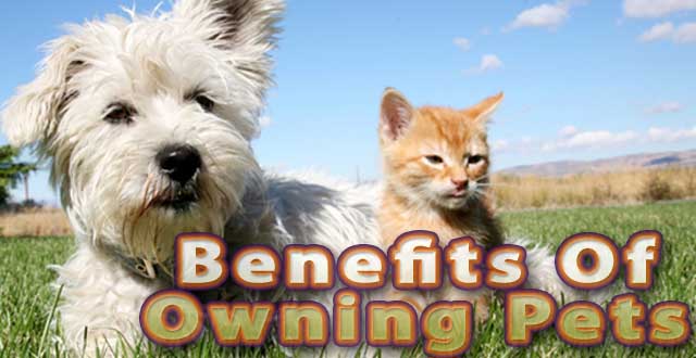Benefits Of Owning Pets