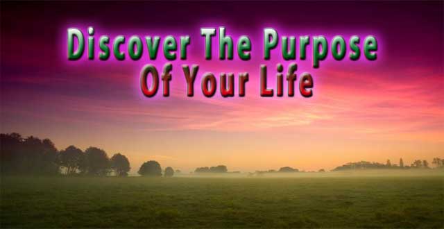 Discover The Purpose Of Your Life 